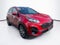 2022 Kia Sportage Nightfall